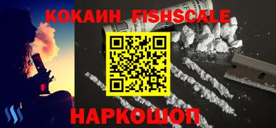 индика Партизанск