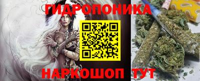 индика Партизанск