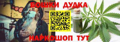 индика Партизанск