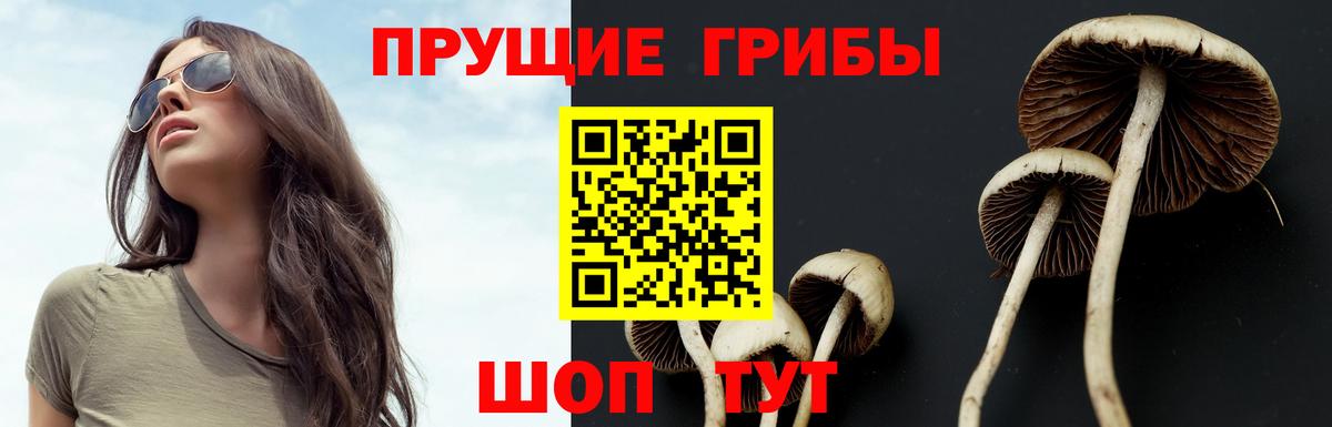 Новосибирск  Галлюциногенные грибы мухоморы  Вход с VPN 